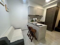The Florence Residences (D19), Apartment #528035791